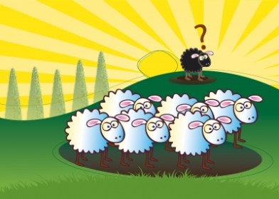 Sheep blog